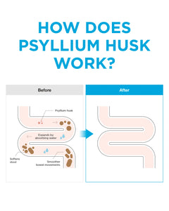 Psyllium Husk Supplement (30 Sticks)