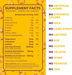 True Sea Moss Gummies - Irish Moss & Burdock, Thyroid & Immune Support, 120 Count (2-Pack)